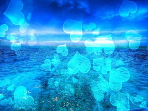 海